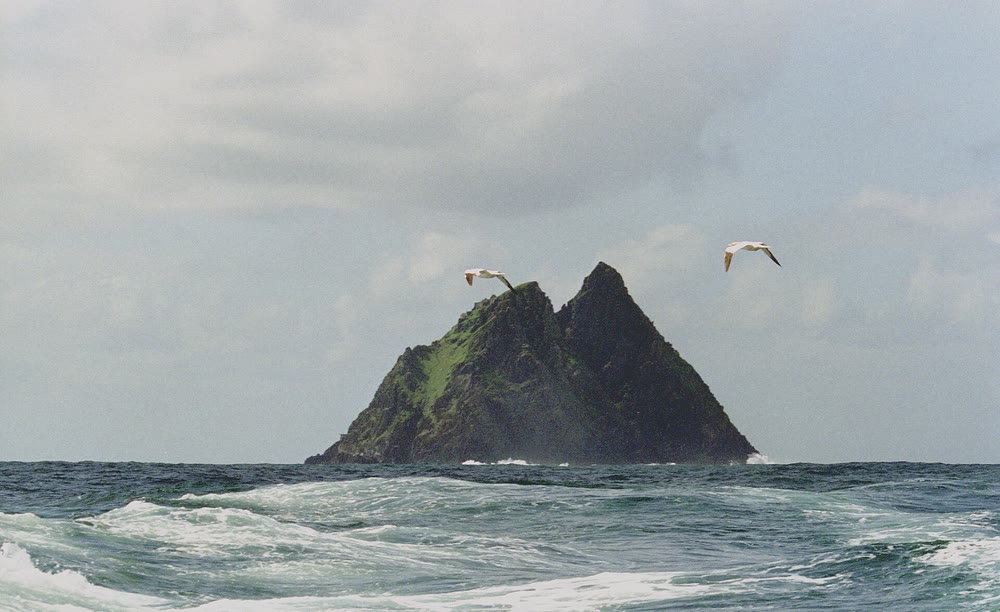 Skellig Michael, a jagged twin-peaked island, rising from a choppy grey-green Atlantic with two gannets flying overhead