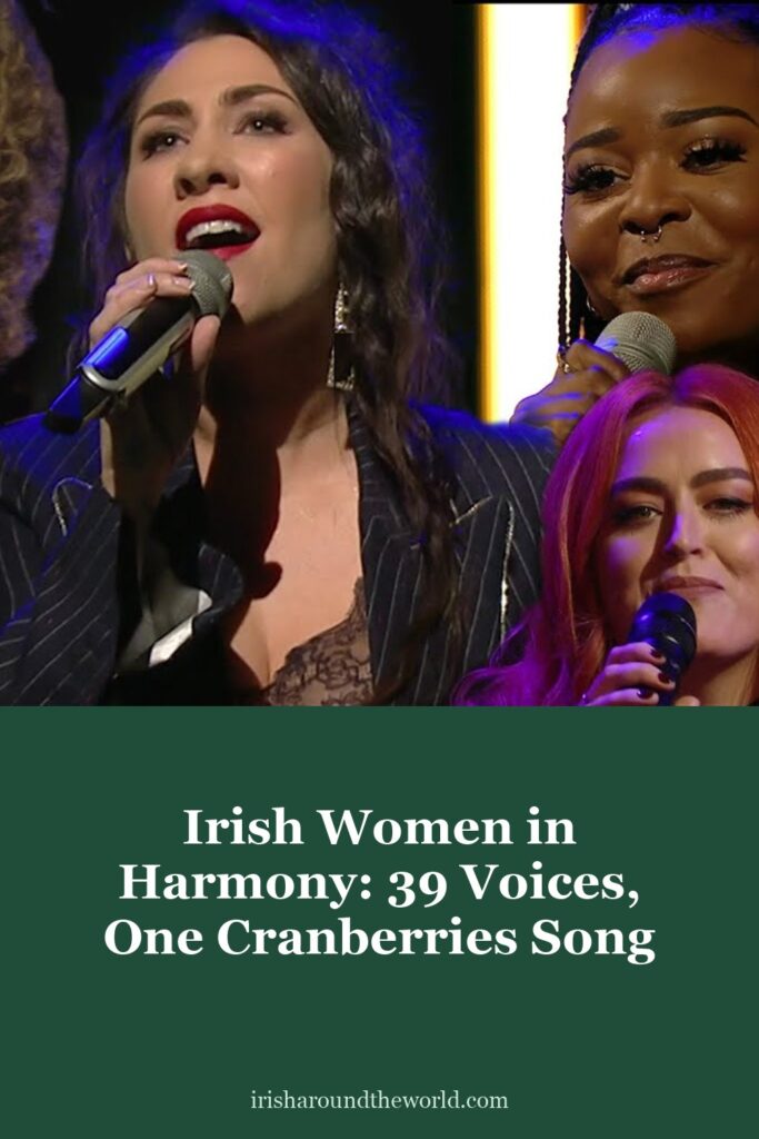 Irish Women in Harmony: almost 40 Irish women, one Cranberries song, and over a quarter of a million euro for Safe Ireland.
