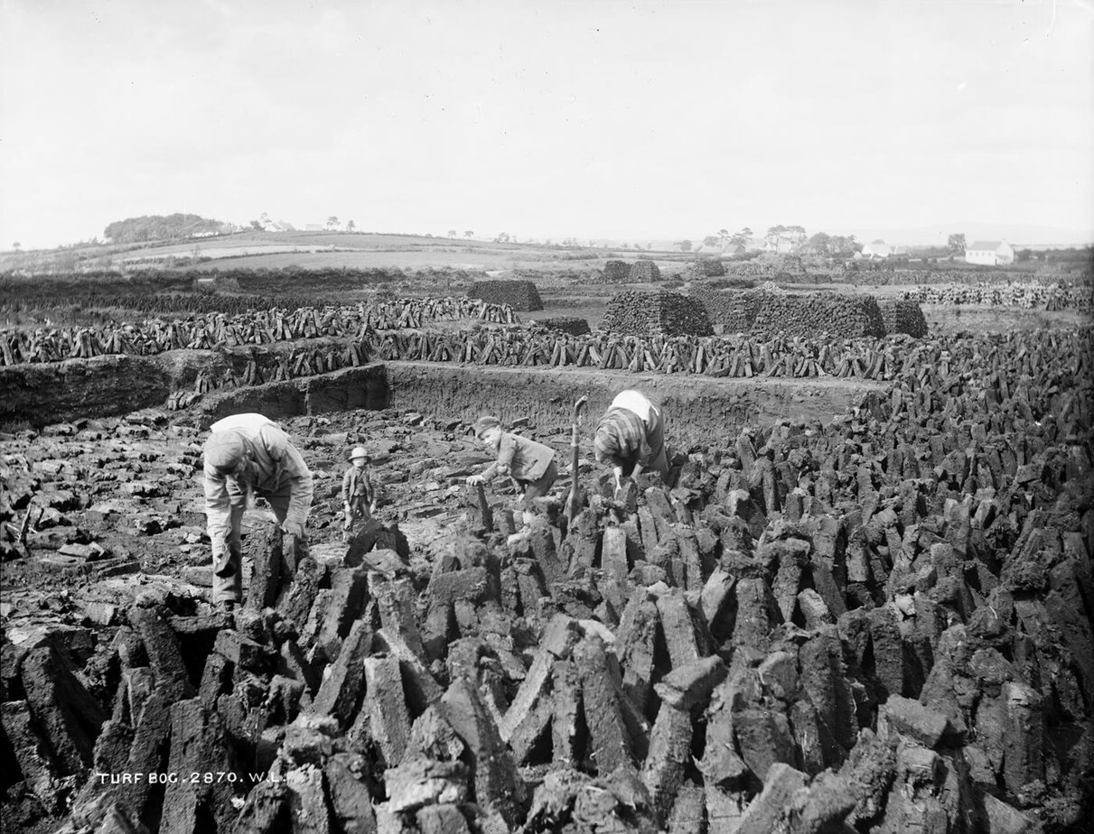 Black and white photo, probably 1880s, of a man, a woman and two children setting turf sods upright to dry on a bog, with long rows of drying turf and farmhouses behind