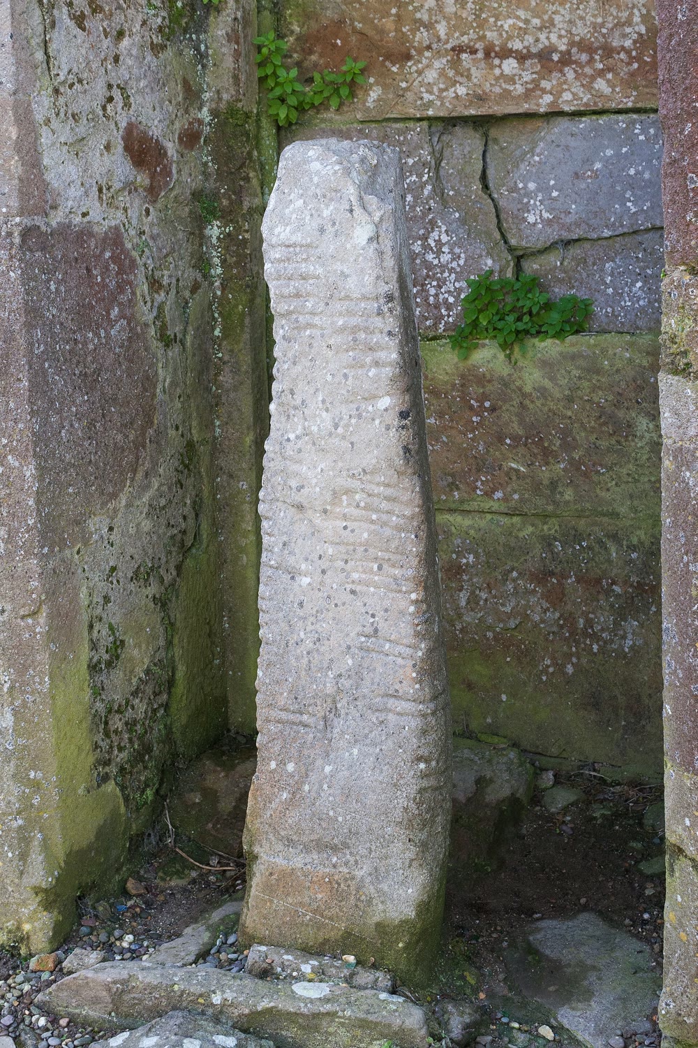 Ogham stone at Ardmore Cathedral, Co. Waterford: a pale, weathered stone pillar with rows of ogham grooves, standing in a niche of an old stone wall