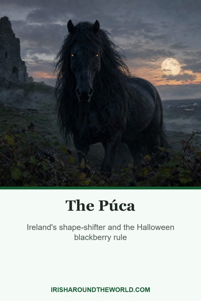 The P&uacute;ca: Ireland's shape-shifter and the Halloween blackberry rule