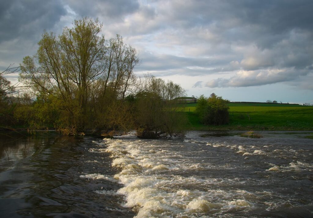 The River Boyne, home of the Salmon of Knowledge legend, running over rapids past riverside trees near Brú na Bóinne, Co. Meath, under a cloudy spring sky