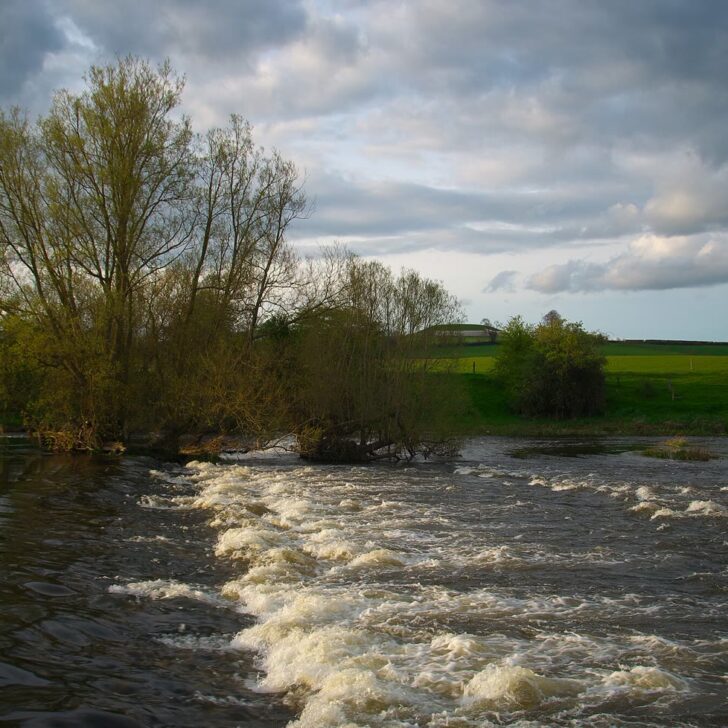 The River Boyne, home of the Salmon of Knowledge legend, running over rapids past riverside trees near Brú na Bóinne, Co. Meath, under a cloudy spring sky