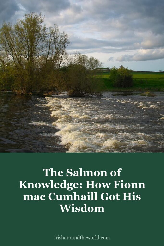 The Salmon of Knowledge: how one burnt thumb made Fionn mac Cumhaill a legend.
