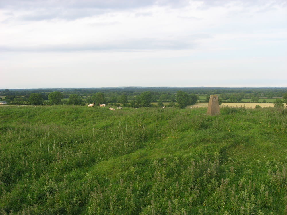 The grassy summit of the Hill of Ward near Athboy: ridges of old earthworks, a few sheep and a concrete survey pillar, with flat green Meath farmland stretching away under a pale overcast sky