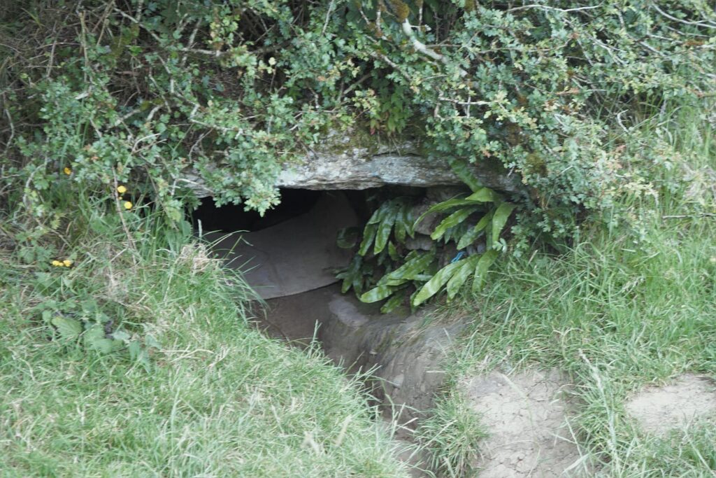 The low entrance to Oweynagat, the cave of Cruachan, at Rathcroghan: a dark opening under a stone lintel in a grassy bank, half hidden by overhanging bushes and ferns