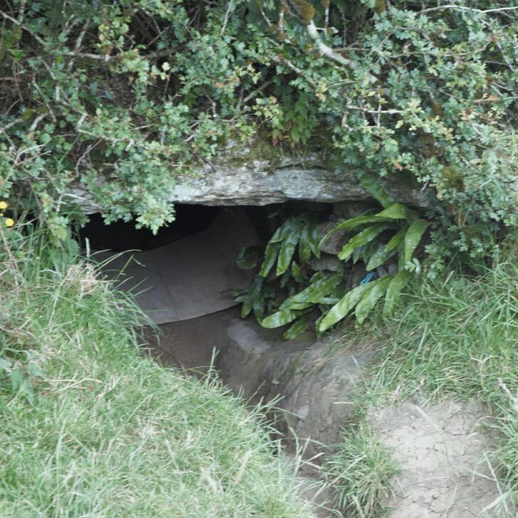 The low entrance to Oweynagat, the cave of Cruachan, at Rathcroghan: a dark opening under a stone lintel in a grassy bank, half hidden by overhanging bushes and ferns