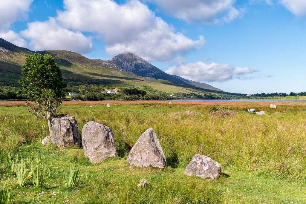 Croagh Patrick, the mountain in the St Patrick snakes legend, rising above green fields and the salt marsh at Murrisk, Co. Mayo, with large rough stones and a small tree in the foreground