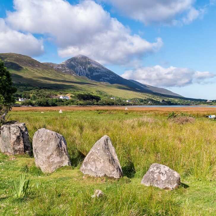 Croagh Patrick, the mountain in the St Patrick snakes legend, rising above green fields and the salt marsh at Murrisk, Co. Mayo, with large rough stones and a small tree in the foreground