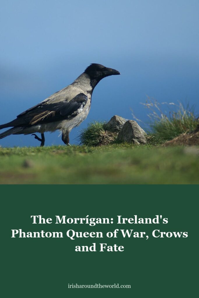 The Morrígan: Ireland's Phantom Queen of War, Crows and Fate