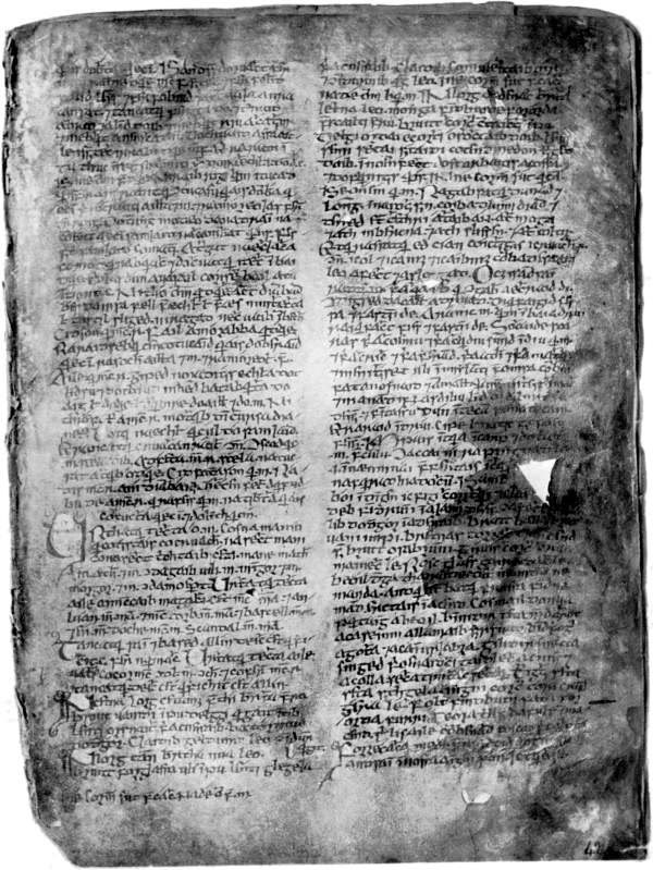 Black-and-white photograph of a worn vellum manuscript page written in two dense columns of medieval Irish script, with a few large initial letters
