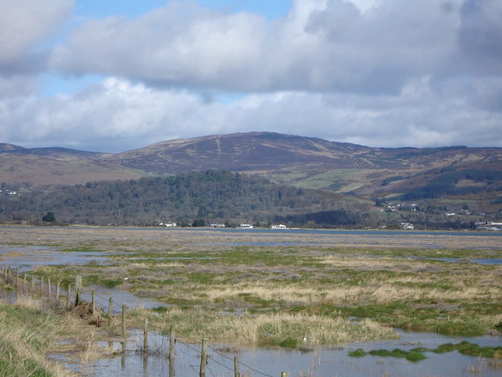 The Cooley Mountains in Co. Louth rising beyond flooded coastal marshes and a wire fence near Dundalk, under a cloudy spring sky