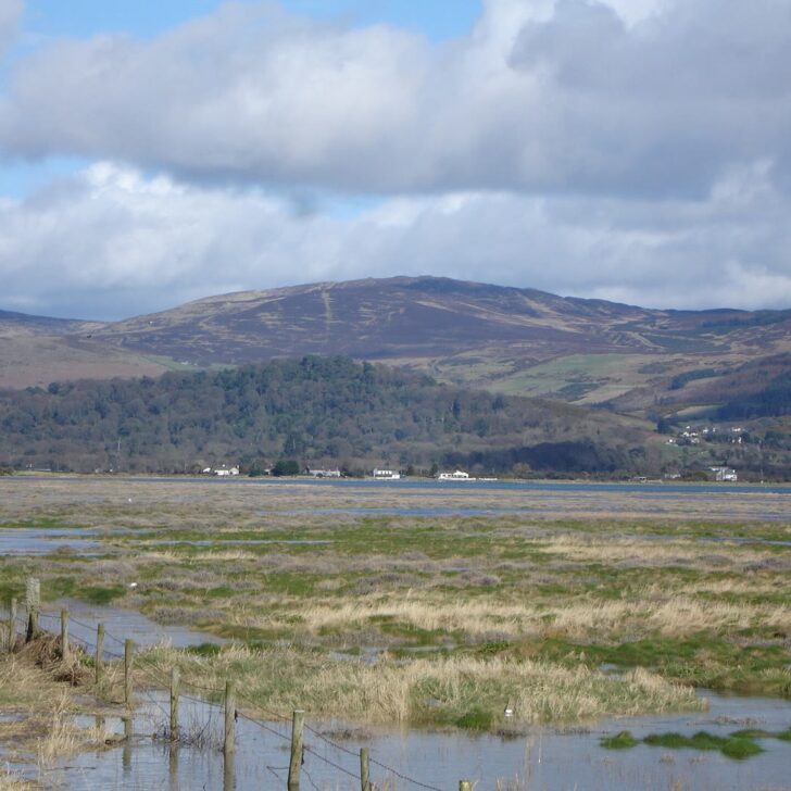 The Cooley Mountains in Co. Louth rising beyond flooded coastal marshes and a wire fence near Dundalk, under a cloudy spring sky