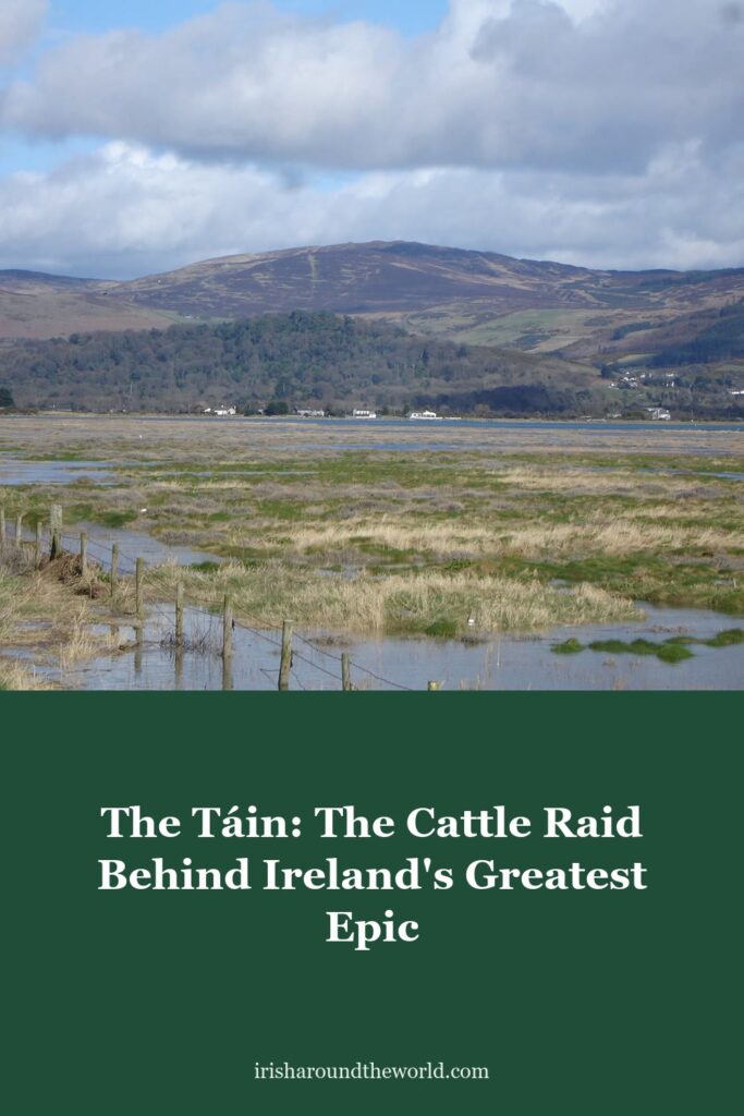The T&aacute;in: How a Royal Bedtime Row Over a Bull Started Ireland's Greatest Epic