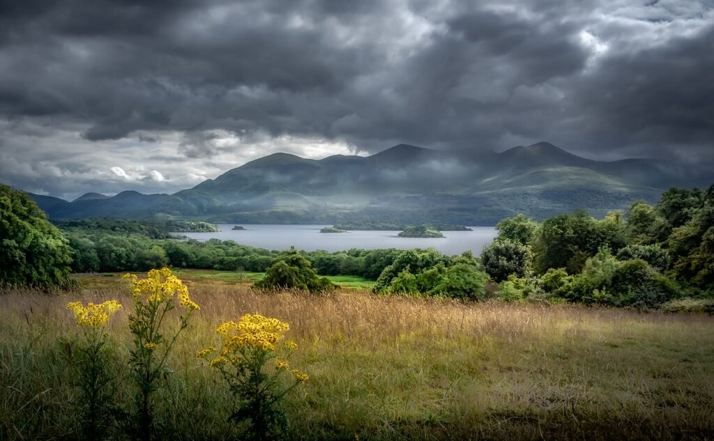 Lough Leane, the Loch Léin where the Tír na nÓg legend begins: storm clouds over the lake and mountains near Killarney, Co. Kerry, with long grass and yellow wildflowers in front