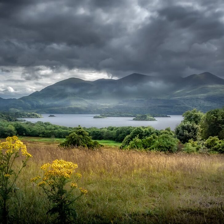 Lough Leane, the Loch Léin where the Tír na nÓg legend begins: storm clouds over the lake and mountains near Killarney, Co. Kerry, with long grass and yellow wildflowers in front