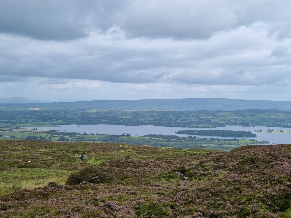 View from a heathery hillside over green fields to Lough Arrow, a long lake with a wooded island, under a heavy grey sky with low hills on the horizon