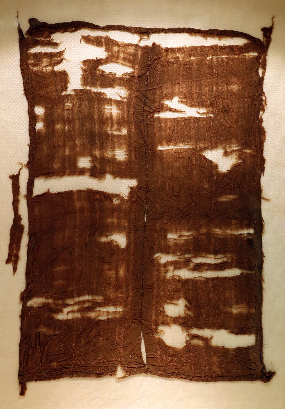 A rectangular piece of dark brown silk with a central seam and several holes, mounted flat on a pale backing in a museum display